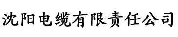 1hhhh蜜桃电缆厂logo